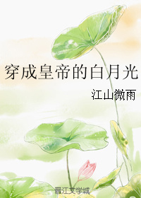 姜蜜萧怀衍的小说全文免费阅读